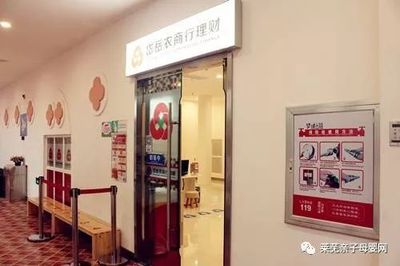萊蕪周邊最具吸引力親子項目推薦 旅行社服務(wù)助你輕松遛娃